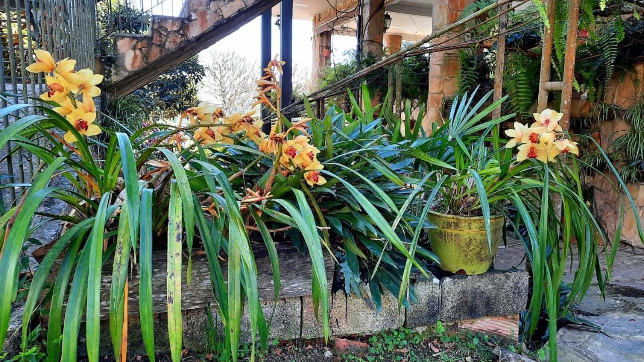 Pousada Canto Das Corujas São Roque Buitenkant foto